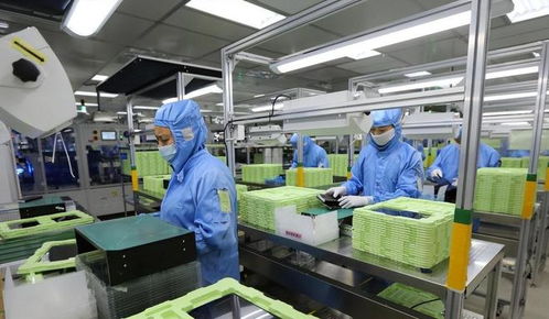 東莞封裝廠斷供，荷蘭急求合作解禁